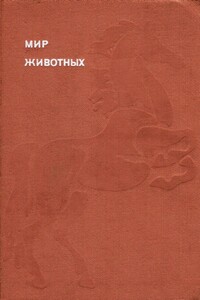 Мир животных. Домашние животные - Игорь Иванович Акимушкин