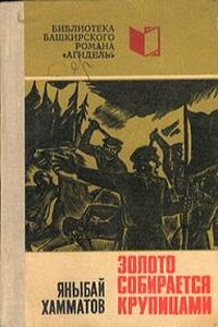 Золото собирается крупицами - Яныбай Хамматович Хамматов