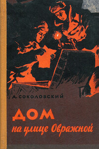 Дом на улице Овражной - Александр Александрович Соколовский