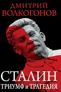 Триумф и трагедия. Политический портрет Сталина. Кн.1 - Дмитрий Антонович Волкогонов