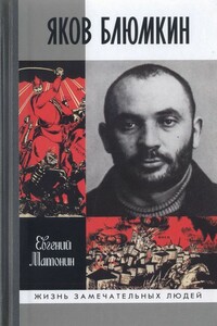 Яков Блюмкин: Ошибка резидента - Евгений Витальевич Матонин