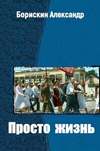 Просто жизнь… - Александр Алексеевич Борискин