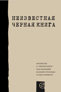 Неизвестная «Черная книга» - Илья Альтман