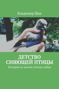 Детство сияющей птицы. Истории из жизни птенца сойки - Владимир Шак