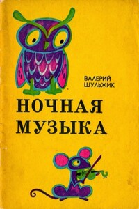 Ночная музыка - Валерий Владимирович Шульжик