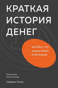 Краткая история денег, или Все, что нужно знать о биткоине - Сейфедин Аммус