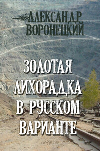 Золотая лихорадка в русском варианте - Александр Васильевич Воронецкий