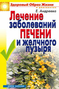 Лечение заболеваний печени и желчного пузыря - Екатерина Алексеевна Андреева