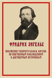 Положение рабочего класса в Англии. По собственным наблюдениям и достоверным источникам - Фридрих Энгельс