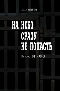 На небо сразу не попасть - Яцек Вильчур