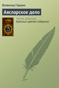 Аясларское дело - Всеволод Михайлович Гаршин