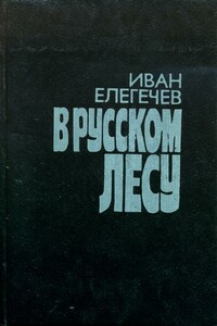 В русском лесу - Иван Захарович Елегечев