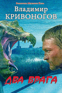 Два врага - Владимир Александрович Кривоногов