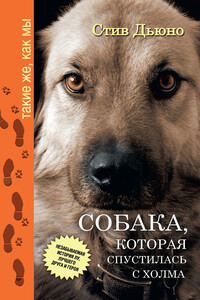 Собака, которая спустилась с холма. Незабываемая история Лу, лучшего друга и героя - Стив Дьюно