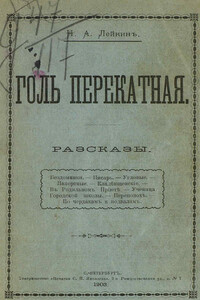 По чердакам и подвалам - Николай Александрович Лейкин