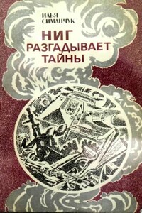 НИГ разгадывает тайны. Хроника ежедневного риска - Илья Семенович Симанчук