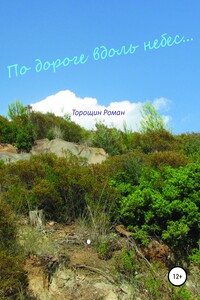 По дороге вдоль небес - Роман Владимирович Торощин