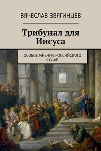 Трибунал для Иисуса. Особое мнение российского судьи - Вячеслав Егорович Звягинцев