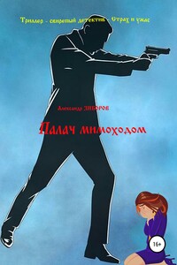 Палач мимоходом - Александр Алексеевич Зиборов