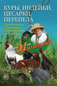 Куры, индейки, цесарки, перепела. Прибыльная домашняя птицеферма от А до Я - Николай Михайлович Звонарев