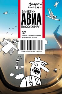 Заметки авиапассажира. 37 рейсов с комментариями и рисунками автора - Андрей Георгиевич Бильжо