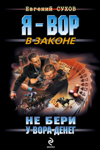 Не бери у вора денег - Евгений Евгеньевич Сухов