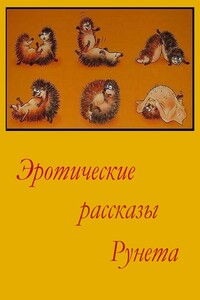 Эротические рассказы Рунета - Том 1 - Неизвестный Автор