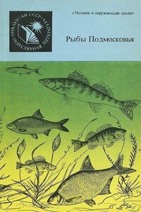 Рыбы Подмосковья - Е Огнев