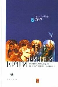 Круги жизней. Реинкарнация и паутина жизней - Кристофер Бейч