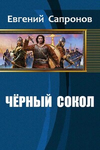 Чёрный сокол - Евгений Анатольевич Сапронов