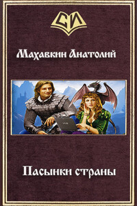 Пасынки страны - Анатолий Анатольевич Махавкин