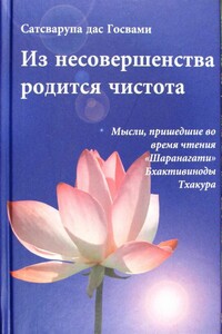 Из несовершенства возникнет чистота - Сатсварупа Даса Госвами