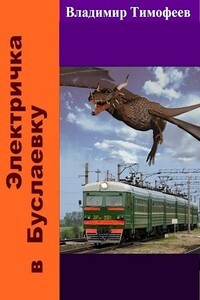 Электричка в Буслаевку - Владимир Анатольевич Тимофеев