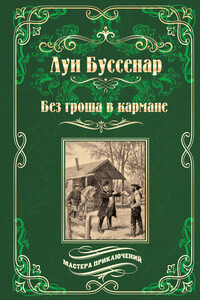 Без гроша в кармане. Среди факиров - Луи Анри Буссенар