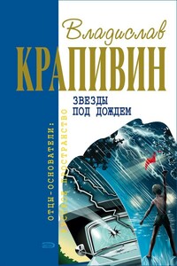 Звёзды под дождём - Владислав Петрович Крапивин