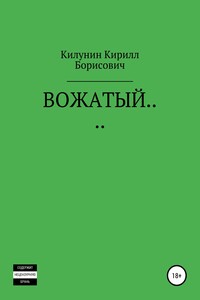 Вожатый… - Кирилл Борисович Килунин