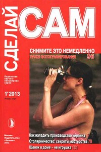 Снимите это немедленно. Как наладить производство кирпича... ("Сделай сам" №1∙2013) - Альманах «Сделай сам»