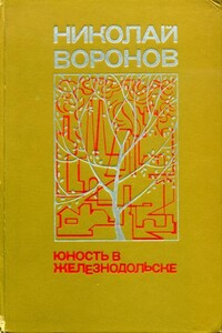 Юность в Железнодольске - Николай Павлович Воронов