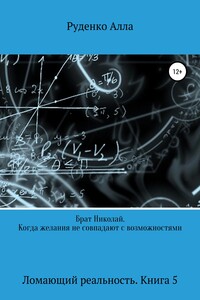 Брат Николай. Когда желания не совпадают с возможностями - Алла Сергеевна Руденко