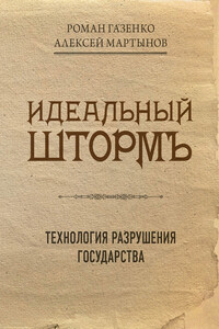 Идеальный шторм. Технология разрушения государства - Роман Владимирович Газенко