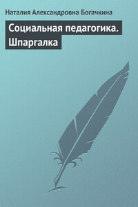 Социальная педагогика. Шпаргалка - Наталия Александровна Богачкина