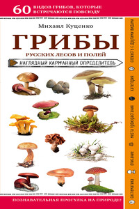 Грибы русских лесов и полей - Михаил Куценко