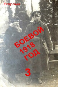 Боевой 1918 год 3 - Владислав Николаевич Конюшевский