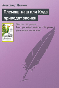 Племяш-наш или Куда приводят звонки - Александр Евгеньевич Цыпкин