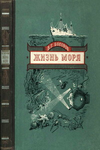 Жизнь моря - Венианим Григорьевич Богоров