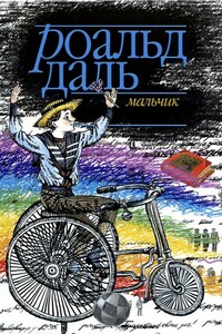 Мальчик. Рассказы о детстве - Роальд Даль