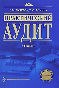 Практический аудит - Светлана Михайловна Бычкова