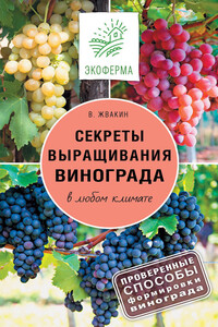 Секреты выращивания винограда в любом климате. Проверенные способы формировки винограда - Виктор Владимирович Жвакин