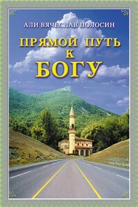 Прямой путь у Богу - Али Вячеслав Сергеевич Полосин