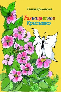 Разноцветное Крылышко - Галина Ильинична Грановская